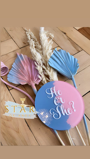 Gender reveal 'He or She?' Circle Acrylic Paddle